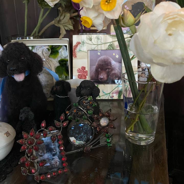 03dffe30 8c4c 4b14 bf70 c12e67defb70 1642721905449