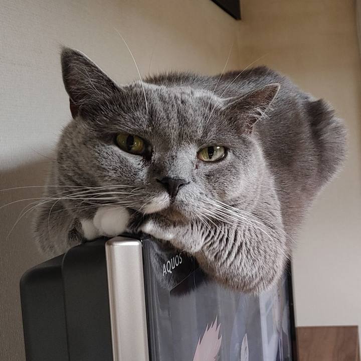 03e00f1d 7e4e 439b b512 e893fb98cf40 1641816729589