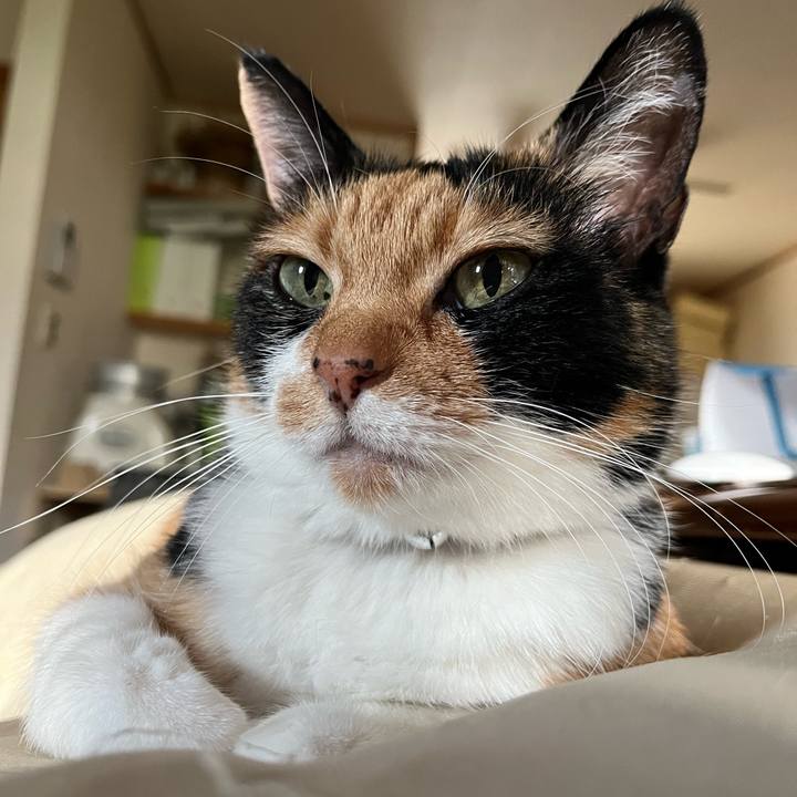 03e039f1 d260 4f18 8815 11c6c071bdc3 1752300063793