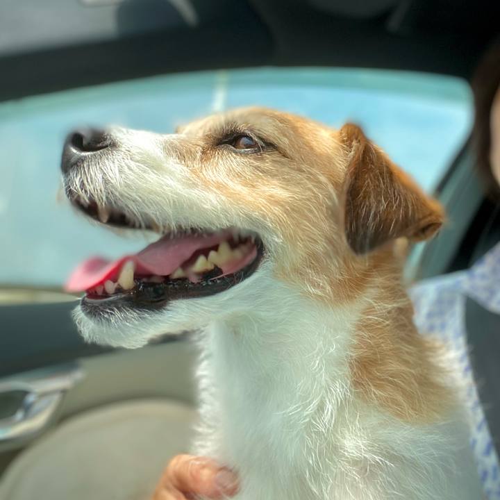 03e0a5fc 401a 4fba 93fa d47ec87fb348 1688039211026