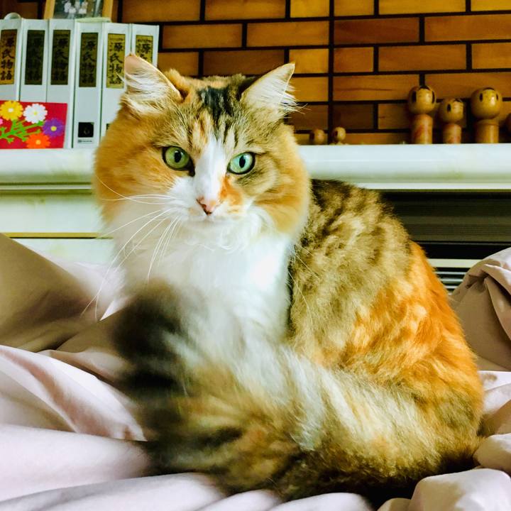 03e0d210 6e18 4839 9593 3a499fd99a31 1562737624255