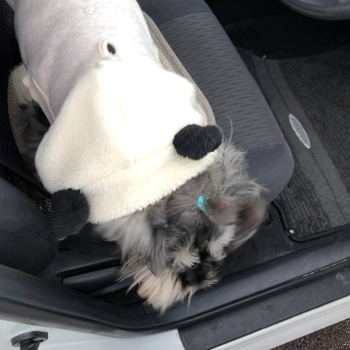 03e0dd14 0283 4caa 89ec 4db20658b217 1552824588857