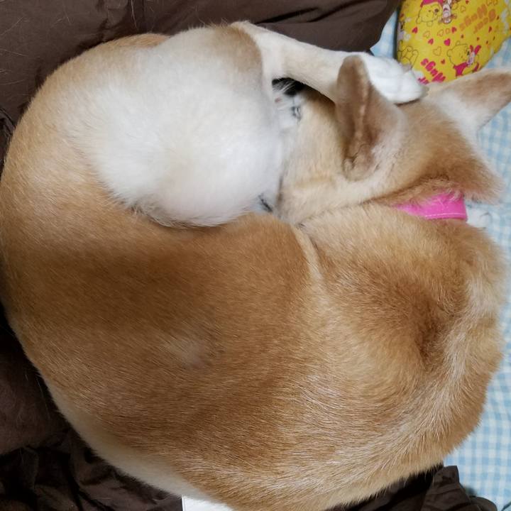 03e14015 755f 4112 958e 48e01473070e 1548198810374