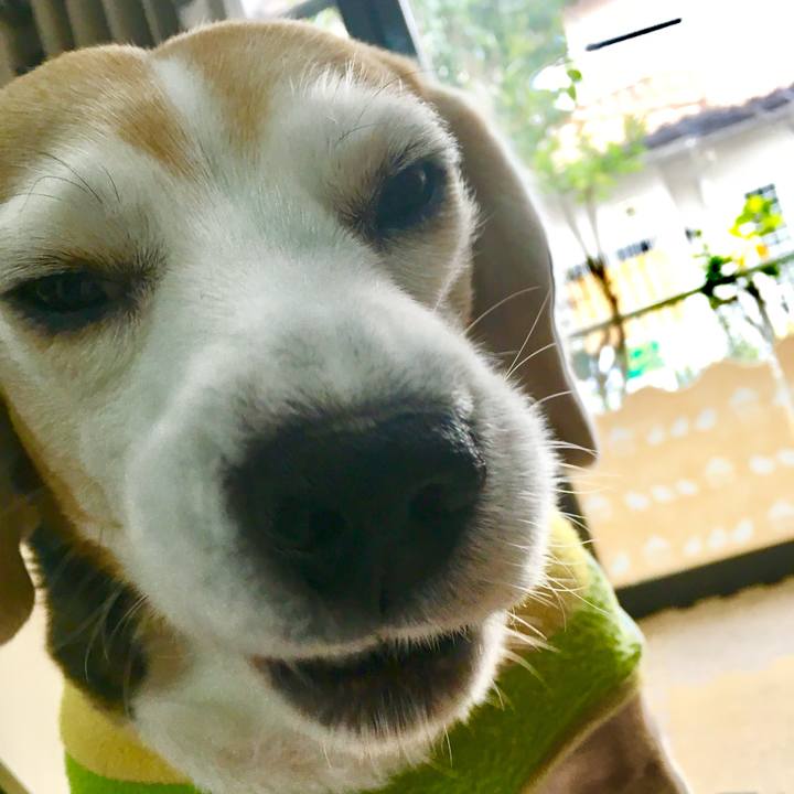 03e1b48a 288f 49b7 adf0 02cf3f467e4e 1772180886321