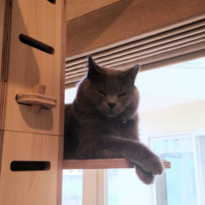 03e239d2 8bdc 4e00 94b1 c87d2e6e2864 1630453702844