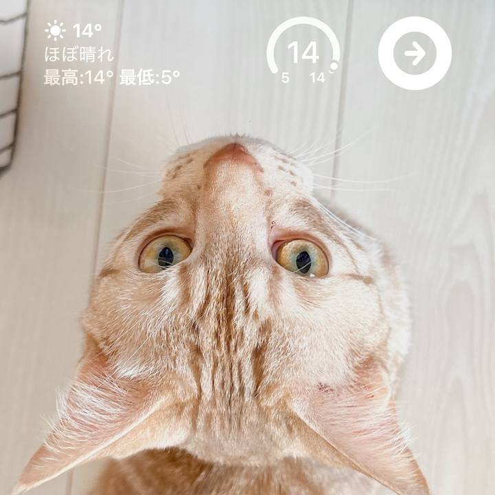 03e25ad7 c4a1 4cf8 9618 ea839ba009a3 1678086638351