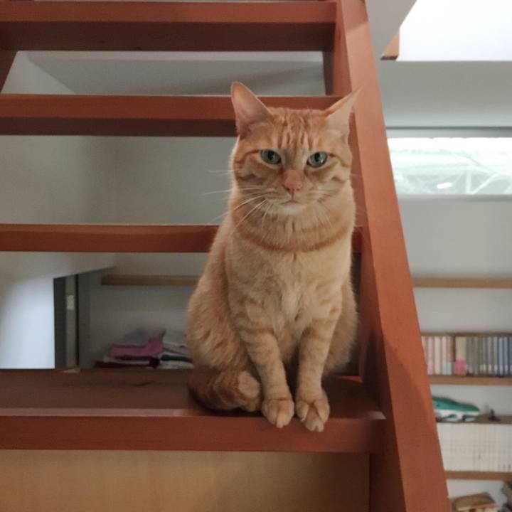 03e276e9 3a56 4829 9036 fa13b15694af 1571572287647