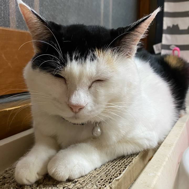 03e2b109 c8a9 47b9 ac83 feb718be7956 1664975377395