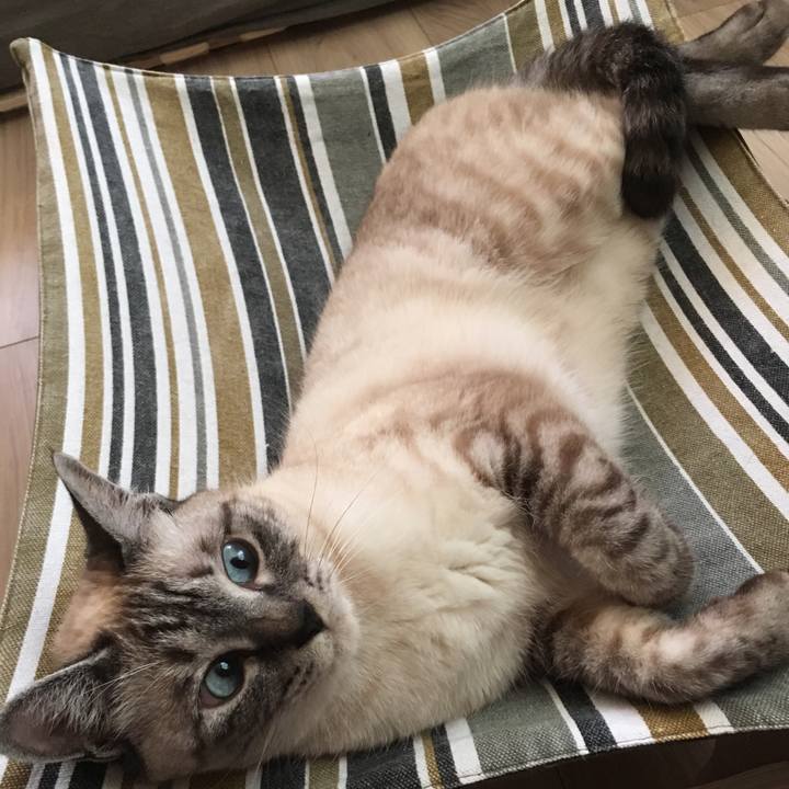 03e2d3b5 a206 4fe7 afd0 e204254d8d35 1591607824941