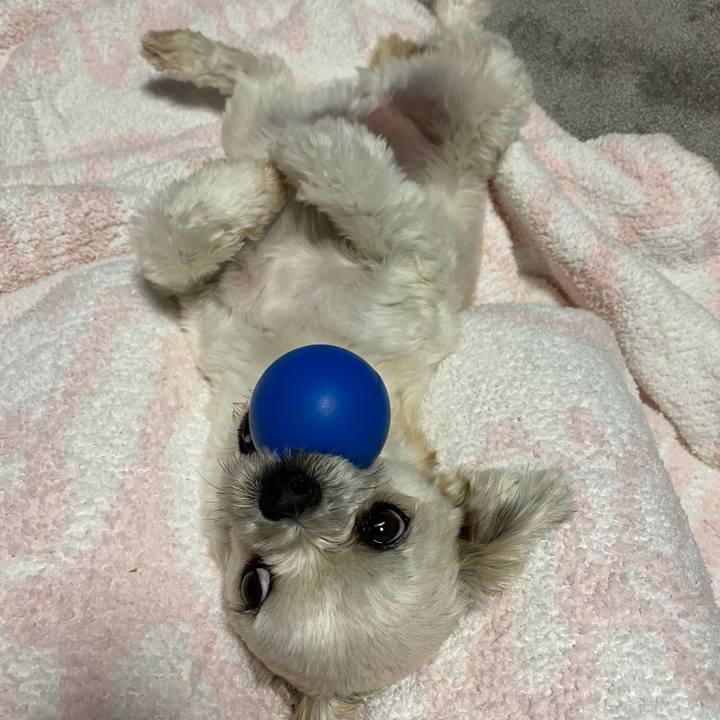 03e35363 7456 4bcb 8f97 ff01808d637c 1639923239986