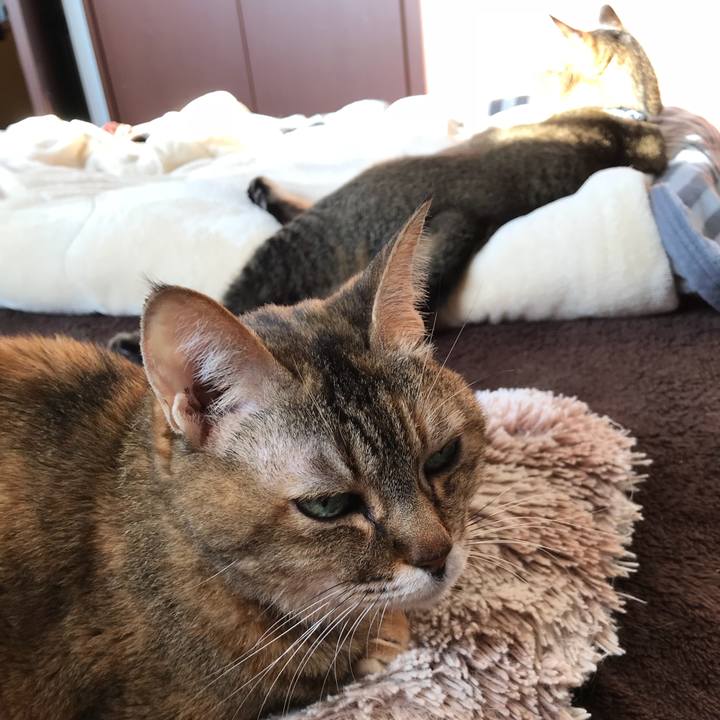 03e3938c 7fb7 40a8 9fb1 f8329ef8c0f5 1513492553808