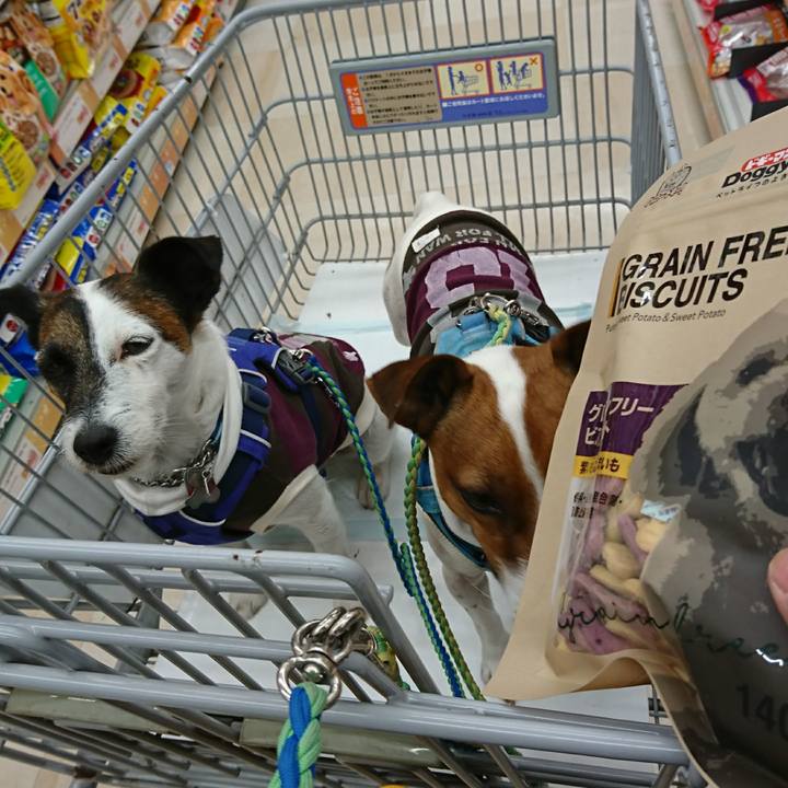 03e3a23b e9ce 4272 8f08 c3ac72a84697 1615024923697