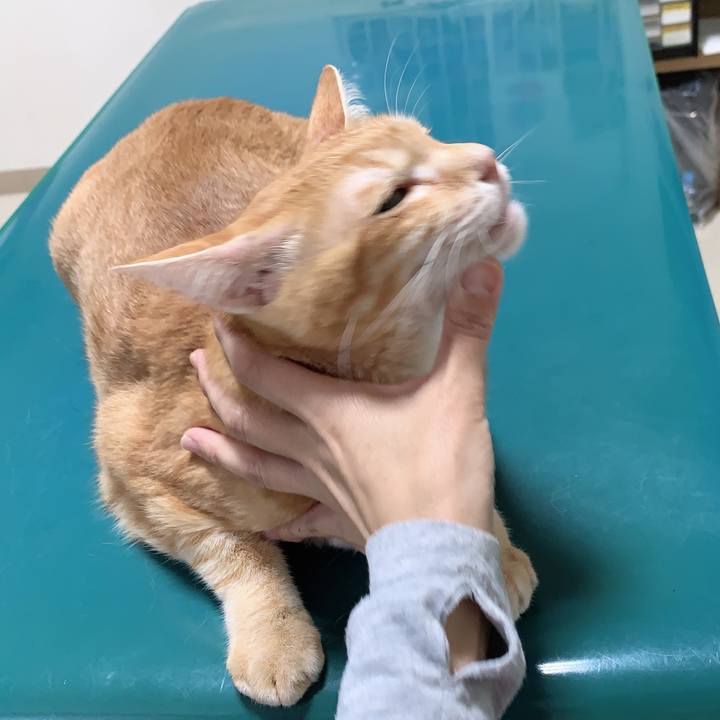 03e3aca3 e7ef 416c 9f18 dee6d2aa79d5 1629891021118