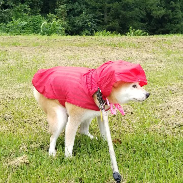 03e3b1f9 92b0 4a16 b570 85cb882e1b48 1631080743113