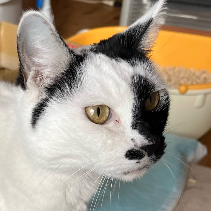 03e41c32 788e 4a02 8db7 aa28b37e79f0 1767175890581