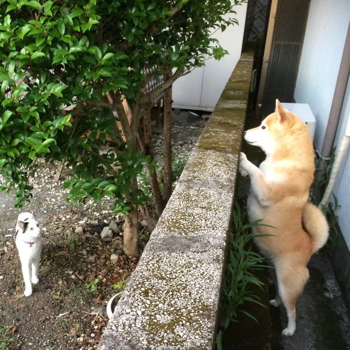 03e4211d 0ddb 4e72 9f5b 7e62f6bbe997 1763964556947