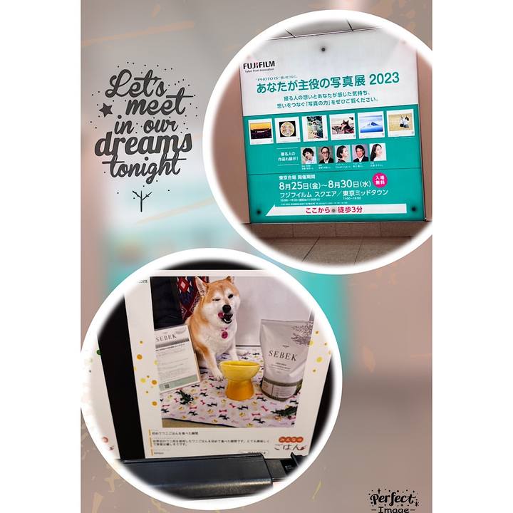 03e430c7 b2b8 4407 bd72 c448c61619b9 1692959653690