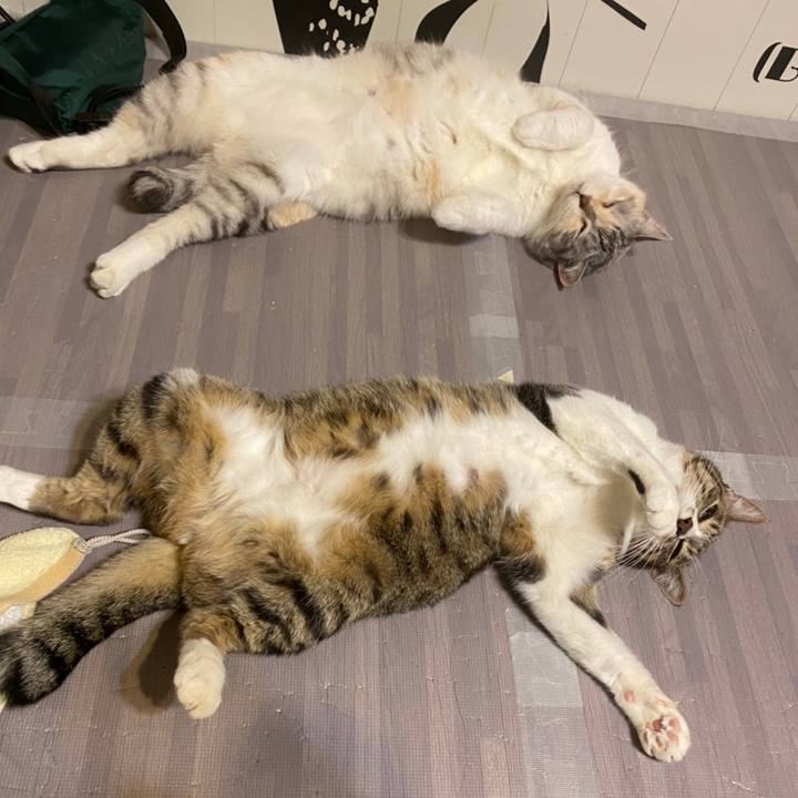 03e43b0f 7dd1 47ce 81a3 d712396cf371 1623552072757