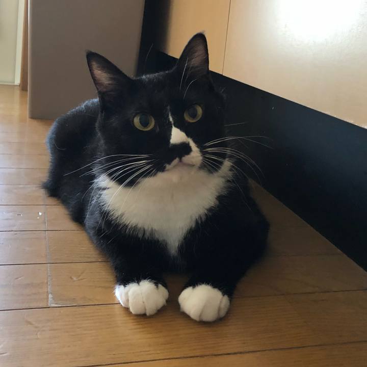 03e45755 53be 41d5 8639 d0f706eb4ce1 1533505632779