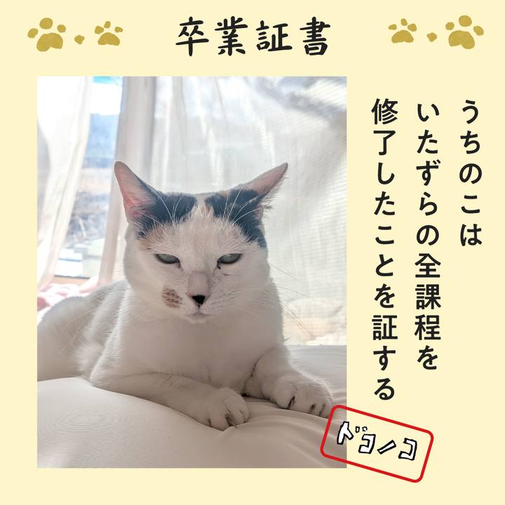 03e47478 577a 4a9e 8b79 6d470aaed0d8 1771982163563