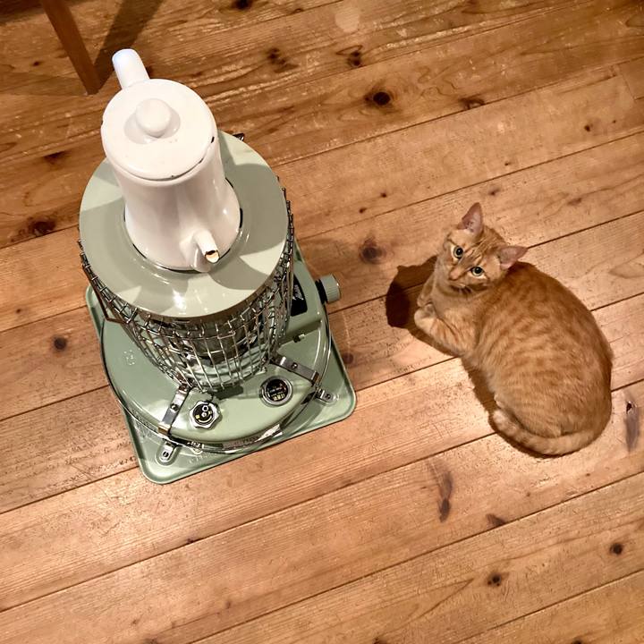 03e47bf8 361e 4c23 8194 c23639078fad 1671962838489