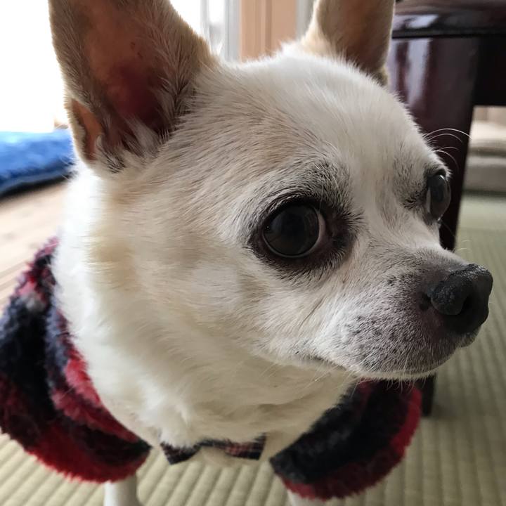 03e47dca 731d 4e10 9d0b 401be3d98ea8 1582106468244