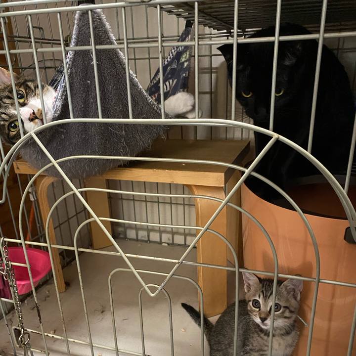 03e484f3 ad1a 4e7c 9a27 2f226fa1948c 1598750752712