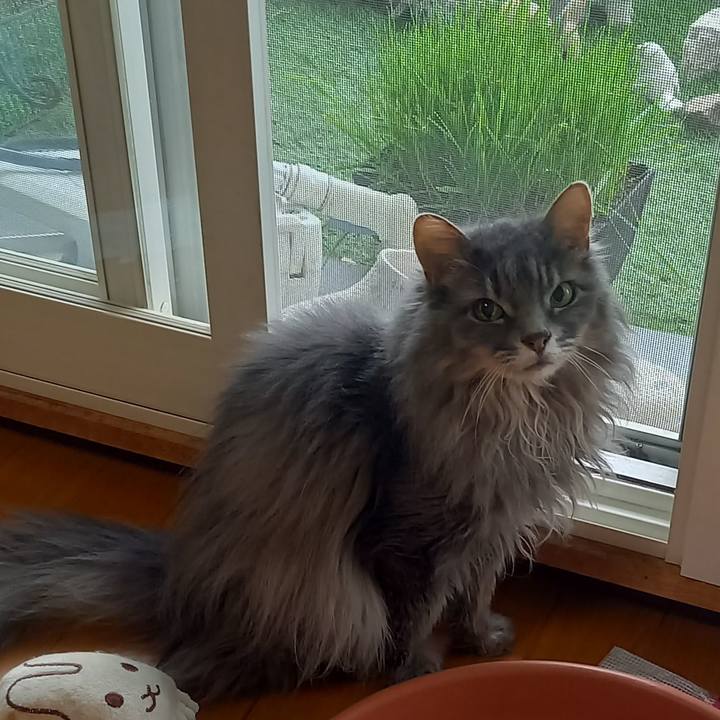 03e49a96 af66 4cf3 861e a7a02247ac1a 1687474387368