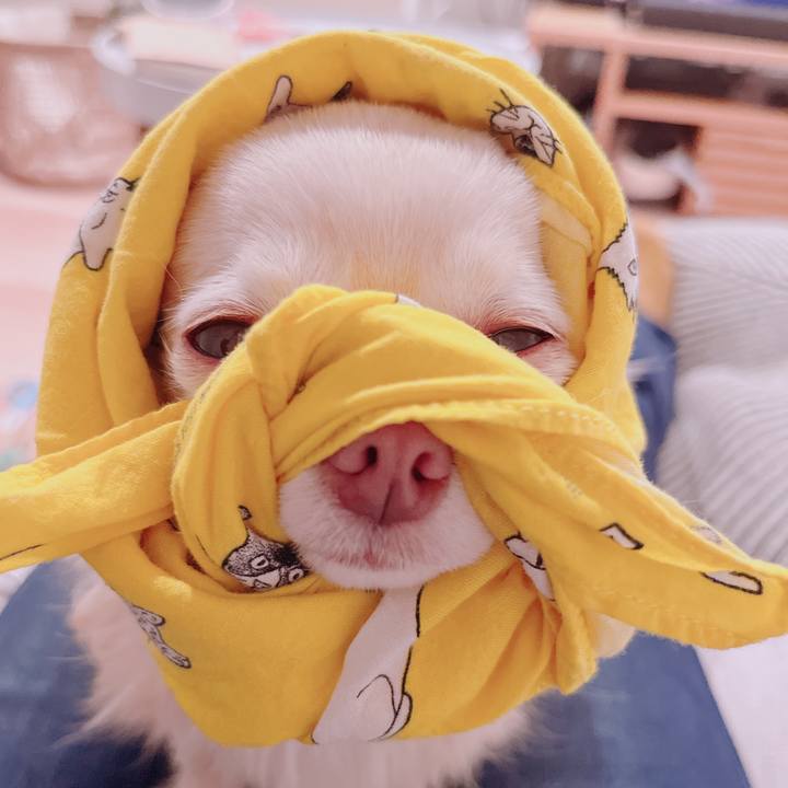 03e4a442 772a 4886 8787 068a38e0babb 1683957786124