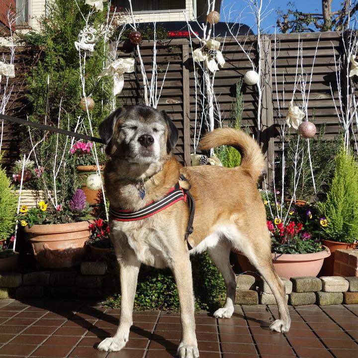 03e4cae6 b2ad 4a21 a641 1cf26f8b5834 1671067869708