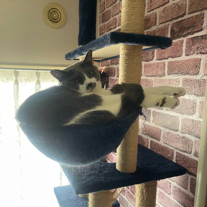 03e4e7bb 2d87 4930 8f04 e0feaeffa932 1716523979547