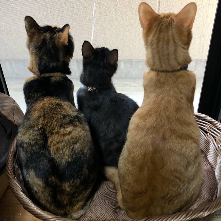 03e4f52f f8e9 4f5b 806b 7f7d636bd64e 1614563722887