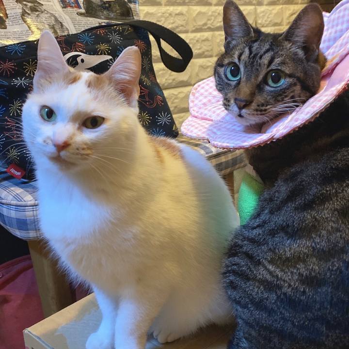 03e510e9 3098 4591 90c1 3def149bd0ed 1638606447236