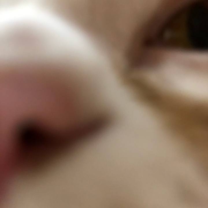 03e528b0 ac6a 4258 bb90 3f237081d31b 1569017422080