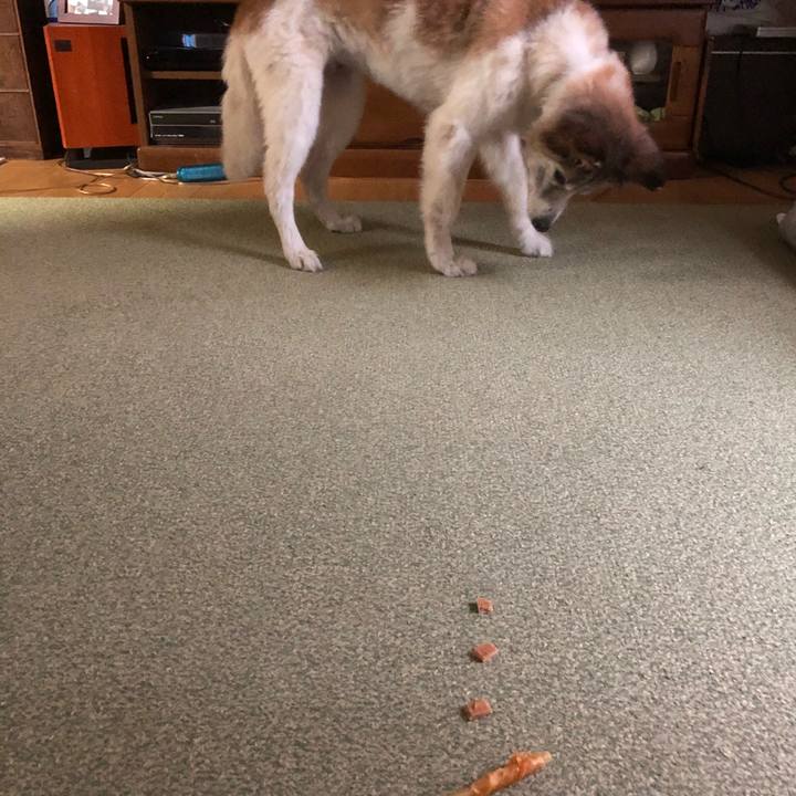 03e56825 1762 4c00 ad39 389233aa09b2 1535443468744