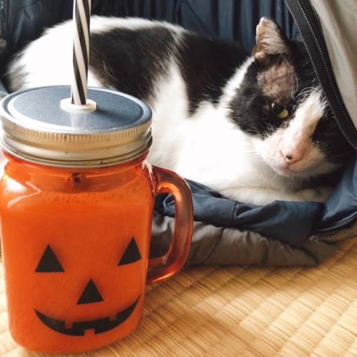 03e57728 e44d 4e1c 823d 59f130070583 1635739650243