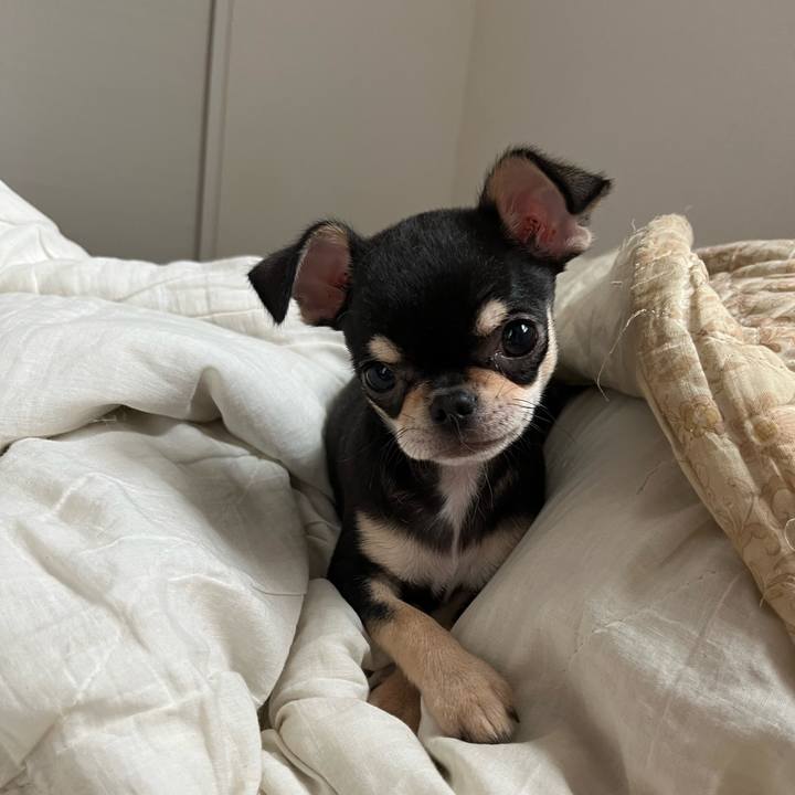 03e5d7b0 802d 42a1 bbe6 7734a5750873 1719122835860