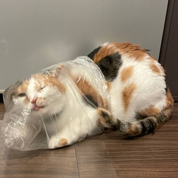 03e5dd66 8dc4 490f 9bec a522a73942ec 1726841037809