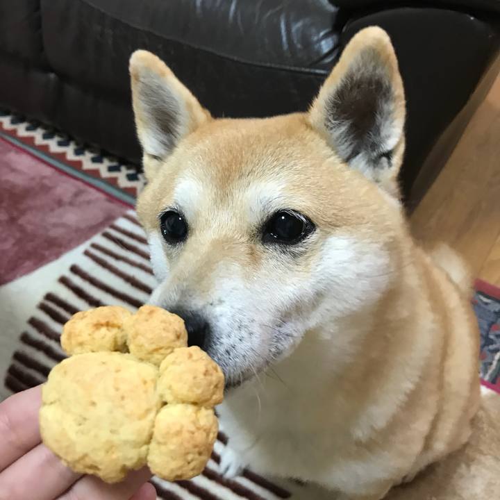 03e5fb3e f7ec 421d a70d e8f4a8c75927 1512350787905