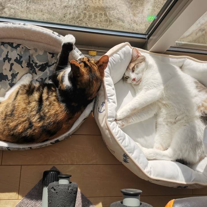 03e6032f 6eb7 400a b10f 2aee82105c74 1624263181705