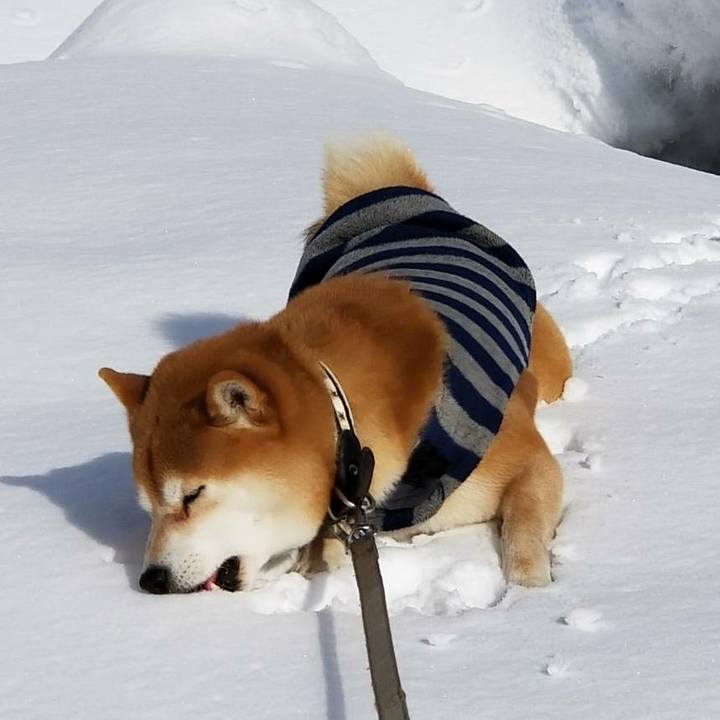 03e609ec 77ae 4abe a6b3 4ca8e231ce5e 1515815201497