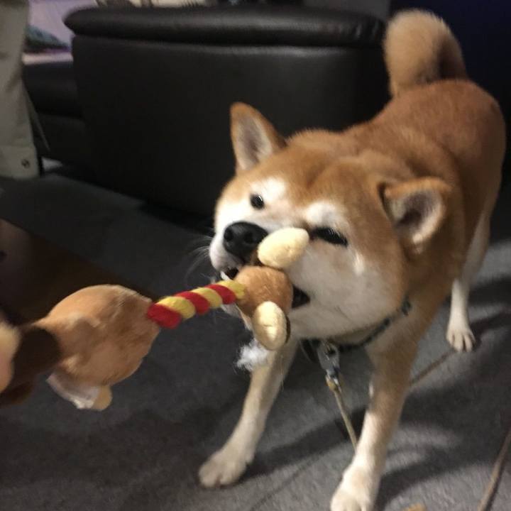 03e613cc 0ced 4772 8e21 1efdceebb3e5 1509960519074