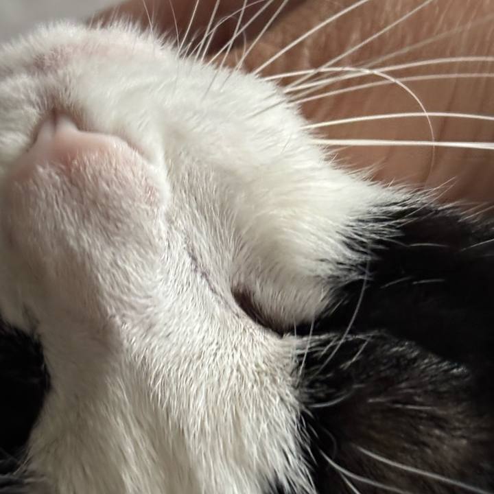 03e619d9 ad3c 4d8e 8f80 b89a9c1348a6 1761866594671