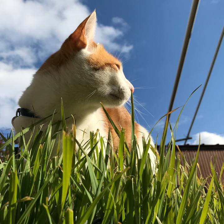 03e61fea dc15 4014 a4d9 d53e7d37d72c 1513742793248