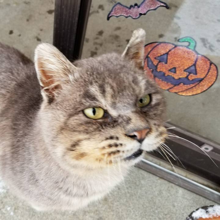 03e63aa6 0c60 49d8 bebb c045e175b169 1520941231826