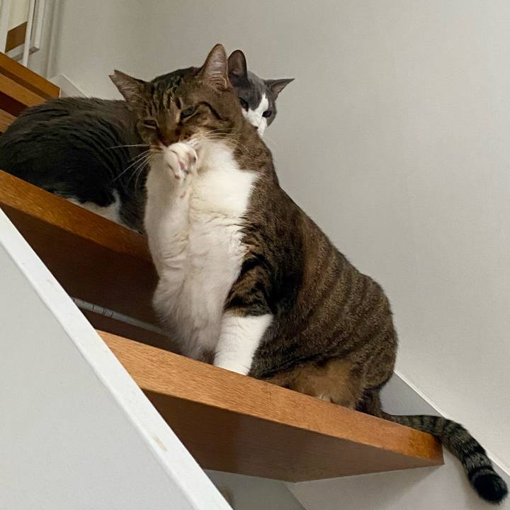 03e65ed3 b0dc 4494 ac24 ff238172d02d 1760336228573