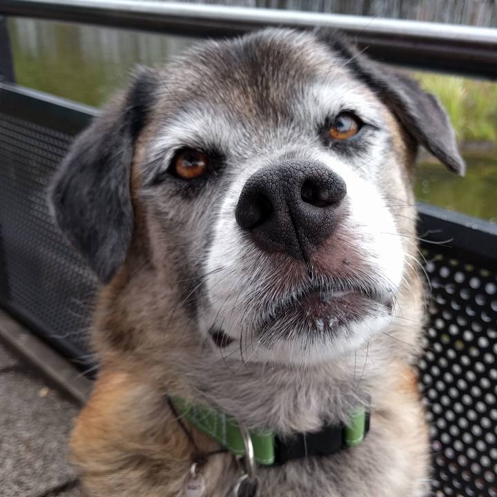 03e666a8 d9c2 42eb a834 b2cb4626f24e 1535418176750