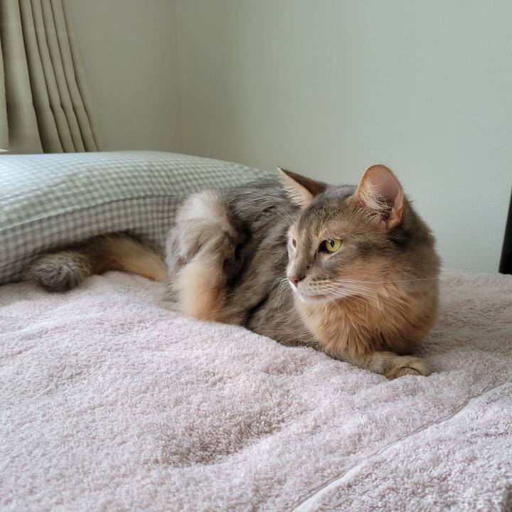 03e684e8 cbf3 4522 8dda 48518c095bc7 1632283657696