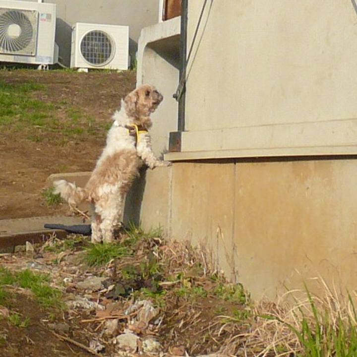 03e6c610 e68c 4856 961b d82194835fbf 1524113418074