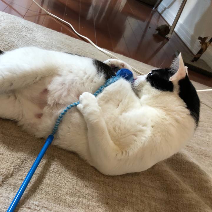 03e70c78 81d1 4f5a bfa3 354a7585b4d0 1517794274406